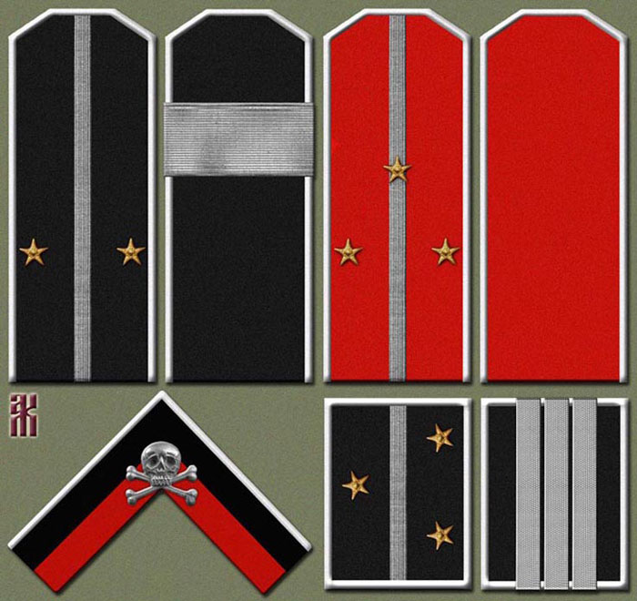 Insgnia of Annenkov's cavalry units