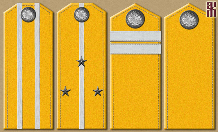 Shoulder-boards of the Mountain Horse Partisan Detachment