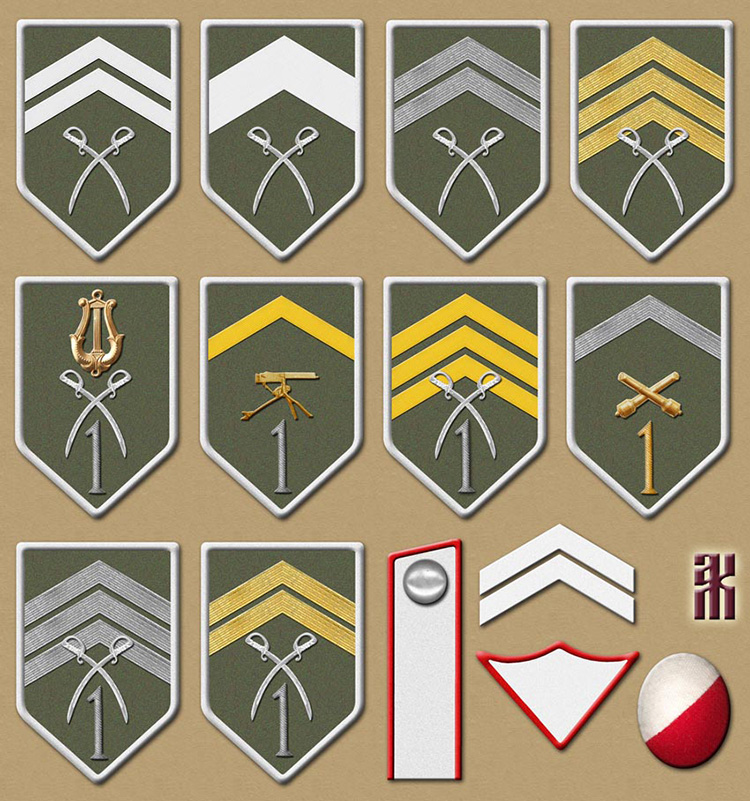 Insignia of the Czechoslovak 1st Cavalry Regiment in the Russian Civil War