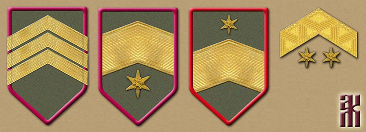 Uniforms of the Czecho-Slovak Generals in the Russian Civil War