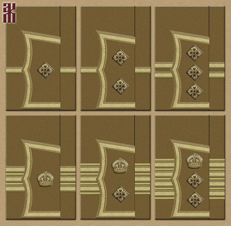 Uniforms of the British Expeditionary Forces in Siberia 1918-1919