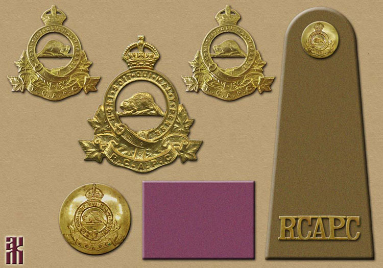 Uniforms of the Canadian Expeditionary Forces in Siberia 1918-1919