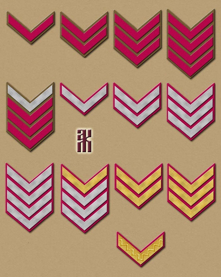 Uniforms of the 5th Polish Siberian Rifle Division, 1918-1920