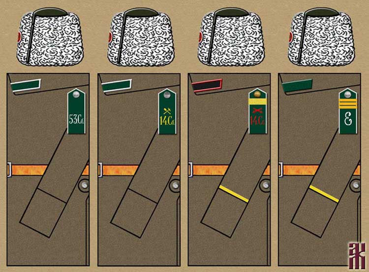 uniform for the 14th Siberian Rifle Division in the Russian Civil War