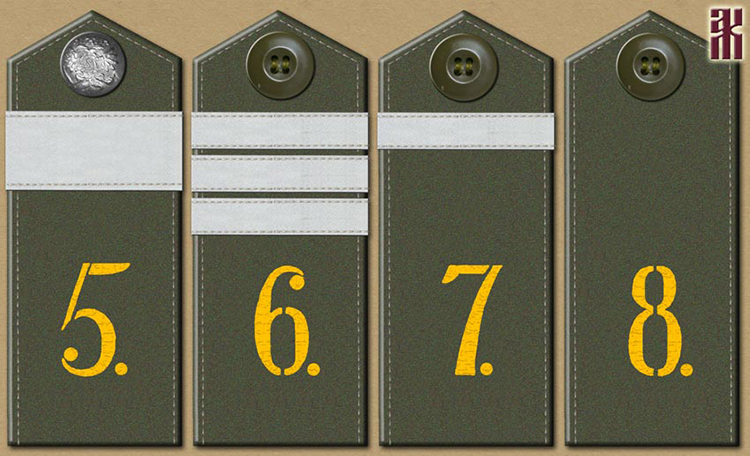 Shoulder-boards of the 2nd Syzran Rifle Division in the Russian Civil War