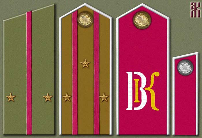 Insignia of the 1st Volga Army Corps in the Russian Civil War