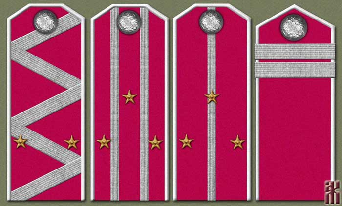 Shoulder-boards of the 1st Volga Army Corps in the Russian Civil War