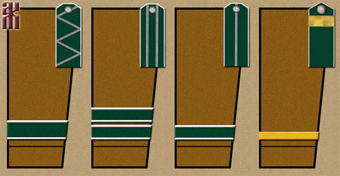 Sleeve markings of the 13th Siberian Rifle Division in the Russian Civil War