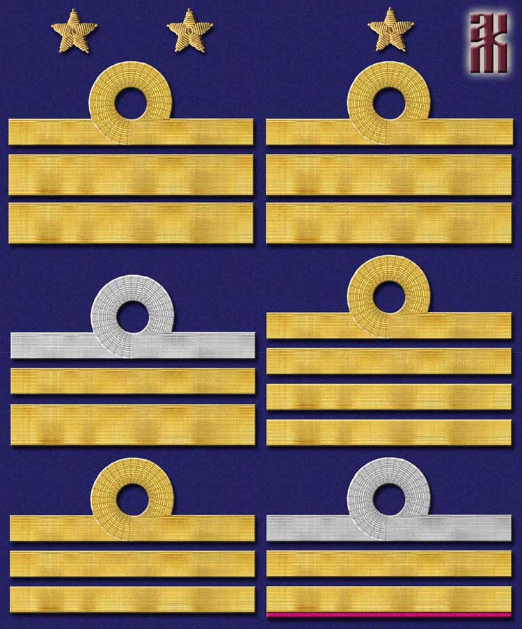 Shoulder insignia of the White Siberian Flotilla in the Russian Civil War