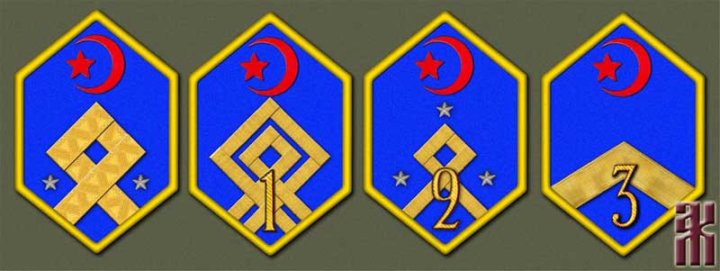 Bashkir sleeve markings in the Russian Civil War