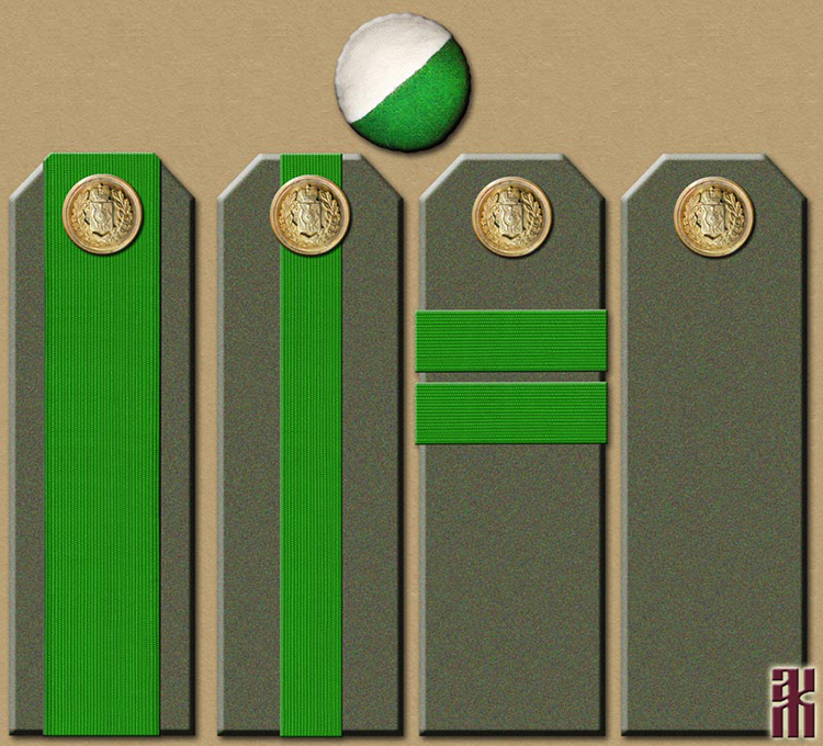 Shoulder boards of the police of the Tobolsk province in the Russian Civil War